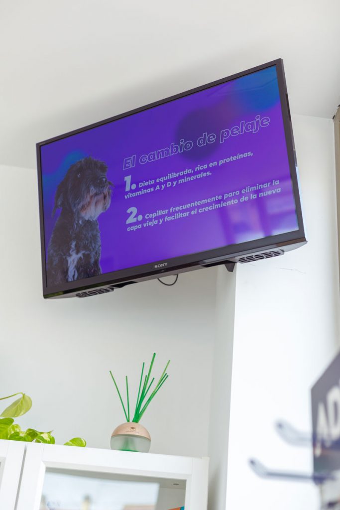 Canal de TV especializado 